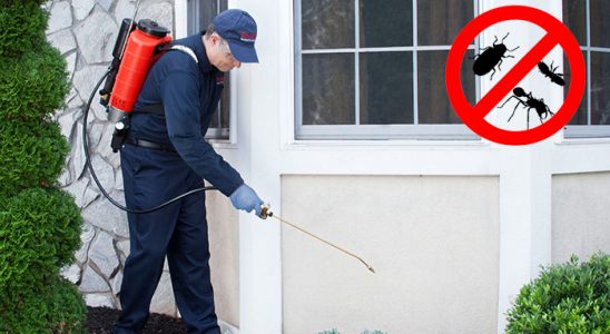 Eğil Gümüşkurt İlaçlama böcek ilaçlama ve haşere kontrolü — ilaclama-tr.com